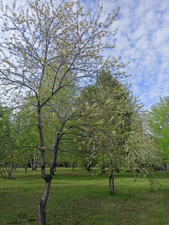IMG20250513165613.jpg