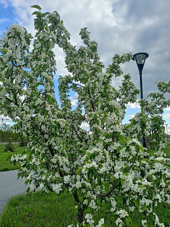 IMG20250517181343.jpg