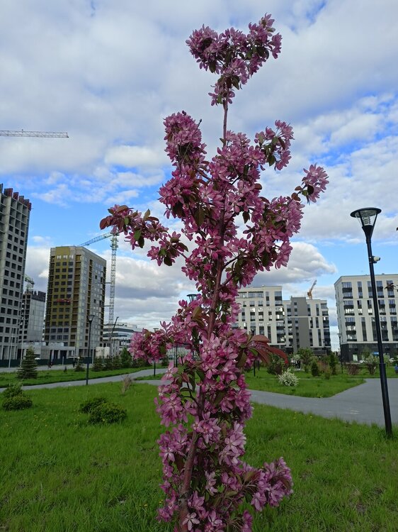 IMG20250517182145.jpg
