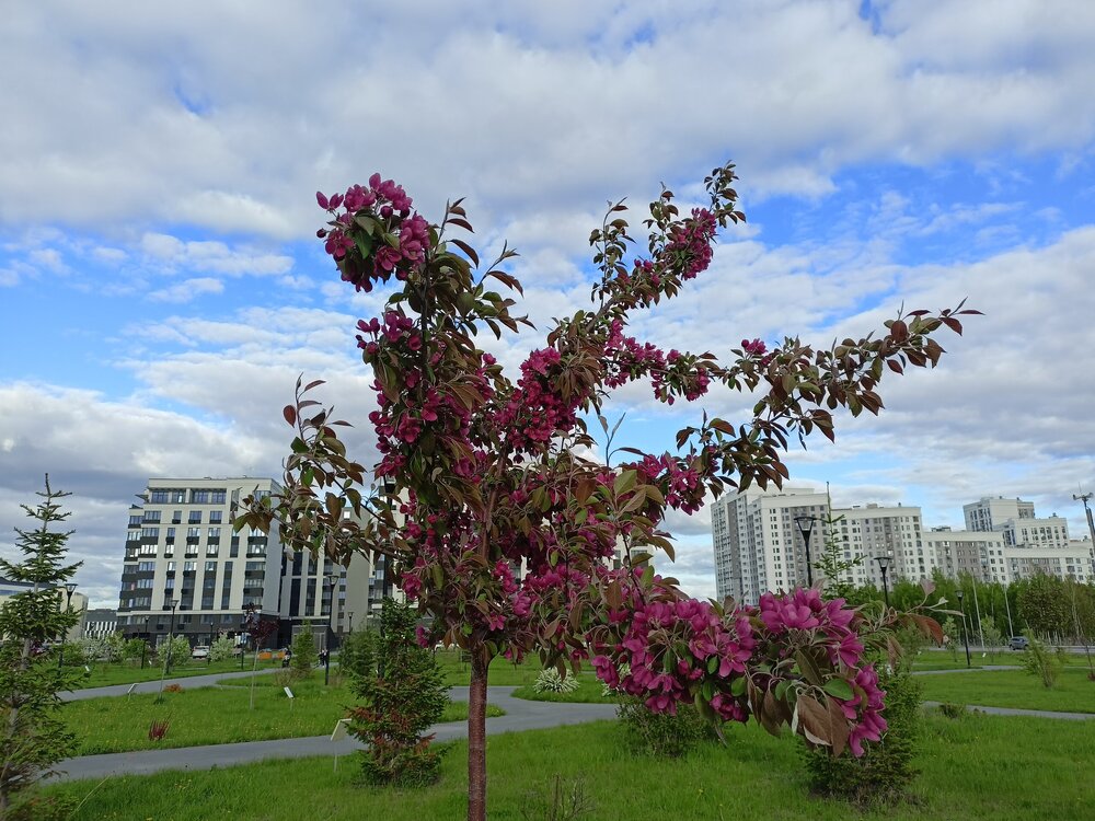 IMG20250517182309.jpg
