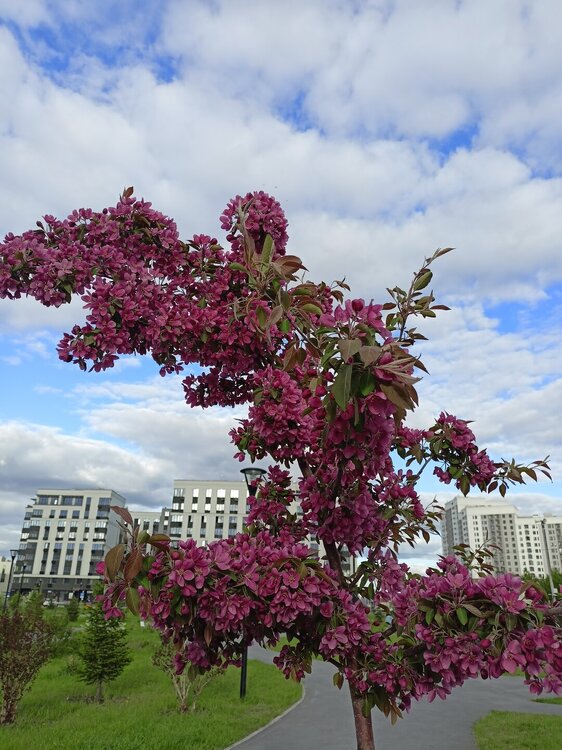 IMG20250517182345.jpg