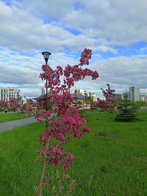IMG20250517182910.jpg