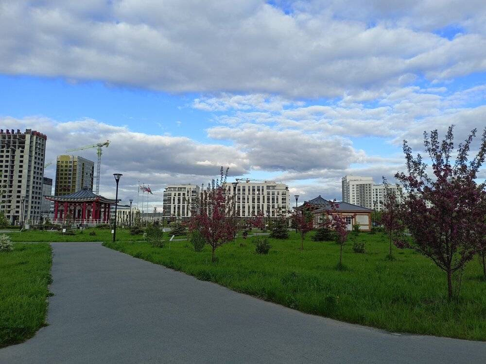 IMG20250517183011.jpg