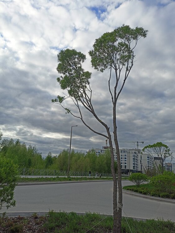 IMG20250517184825.jpg