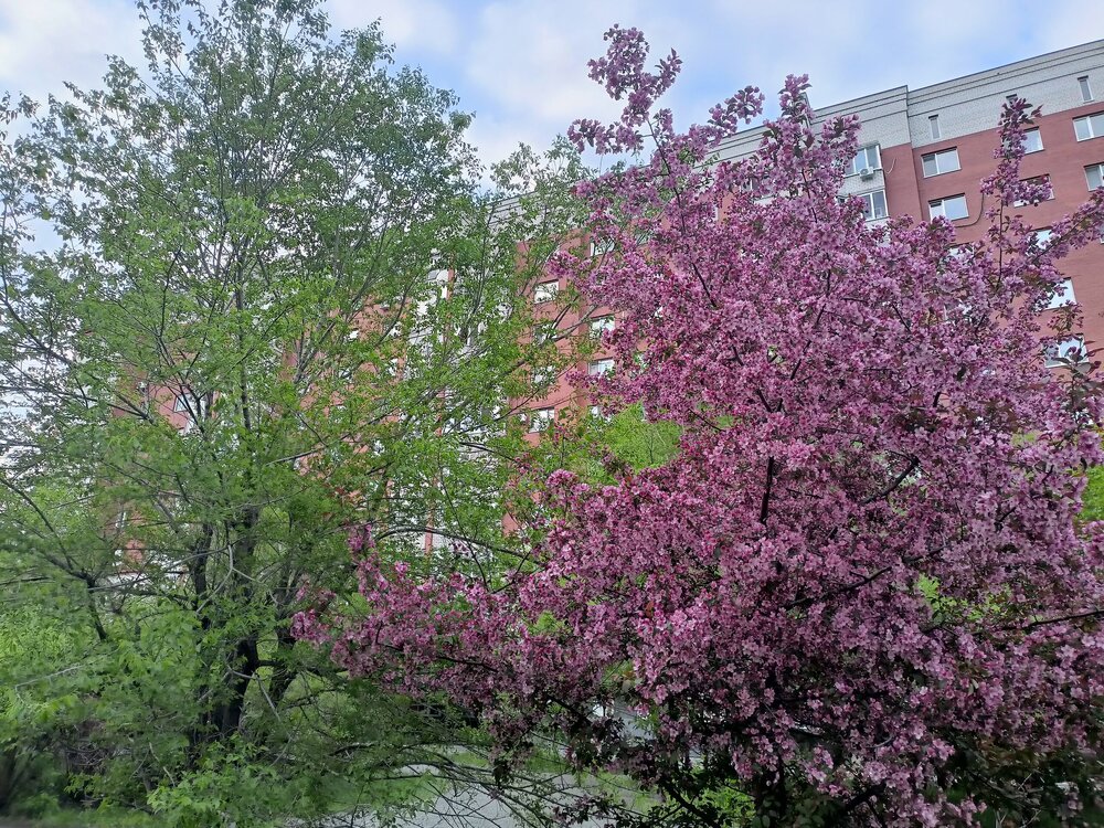 IMG20250517195325.jpg