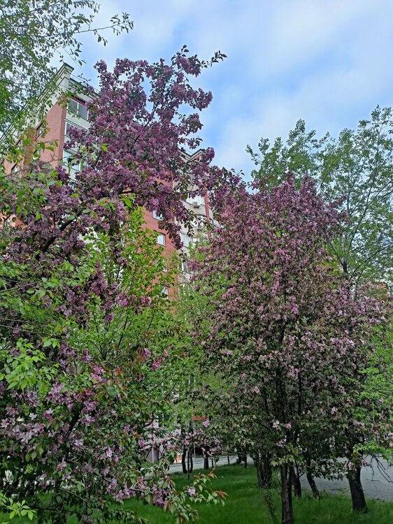 IMG20250517195556.jpg