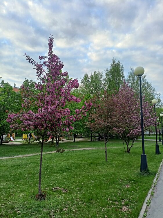 IMG20250517195823.jpg