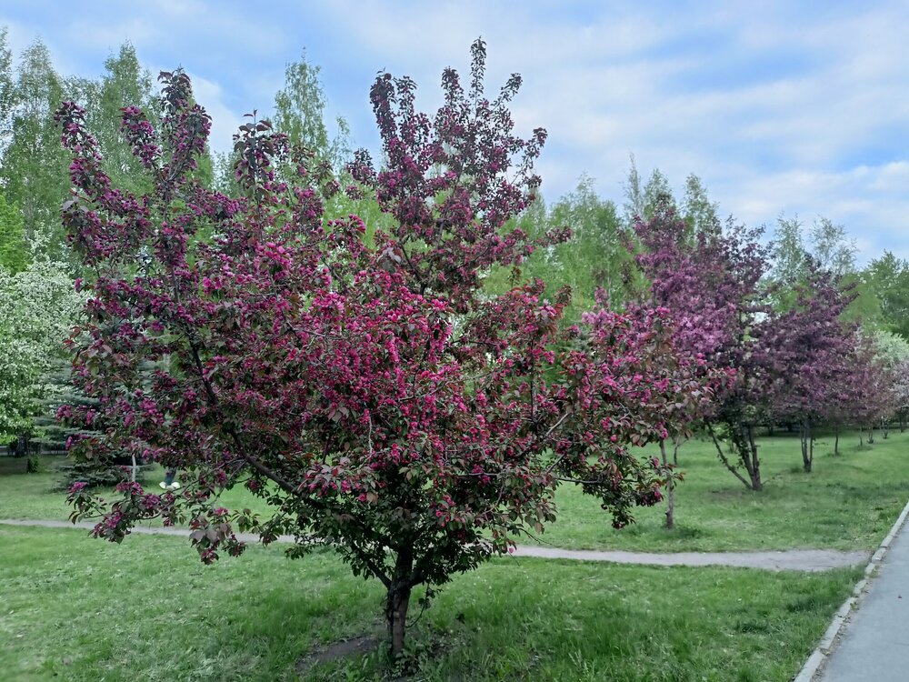 IMG20250517195839.jpg