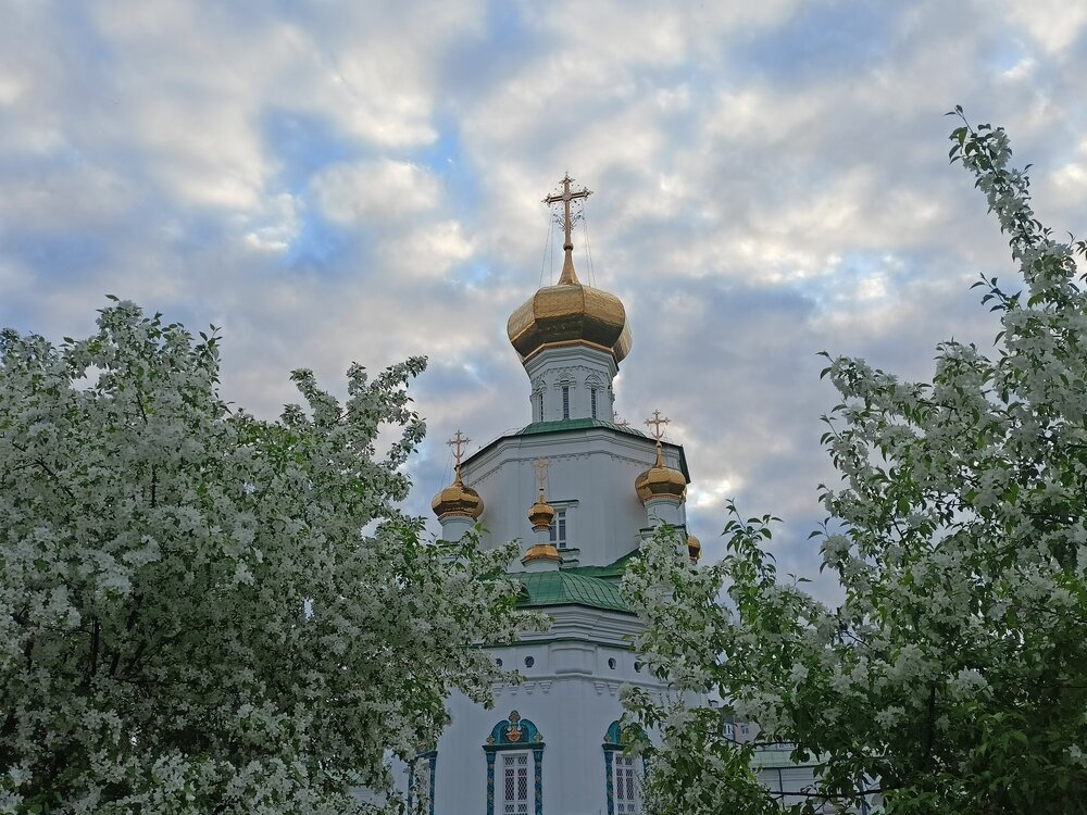 IMG20250517200016.jpg