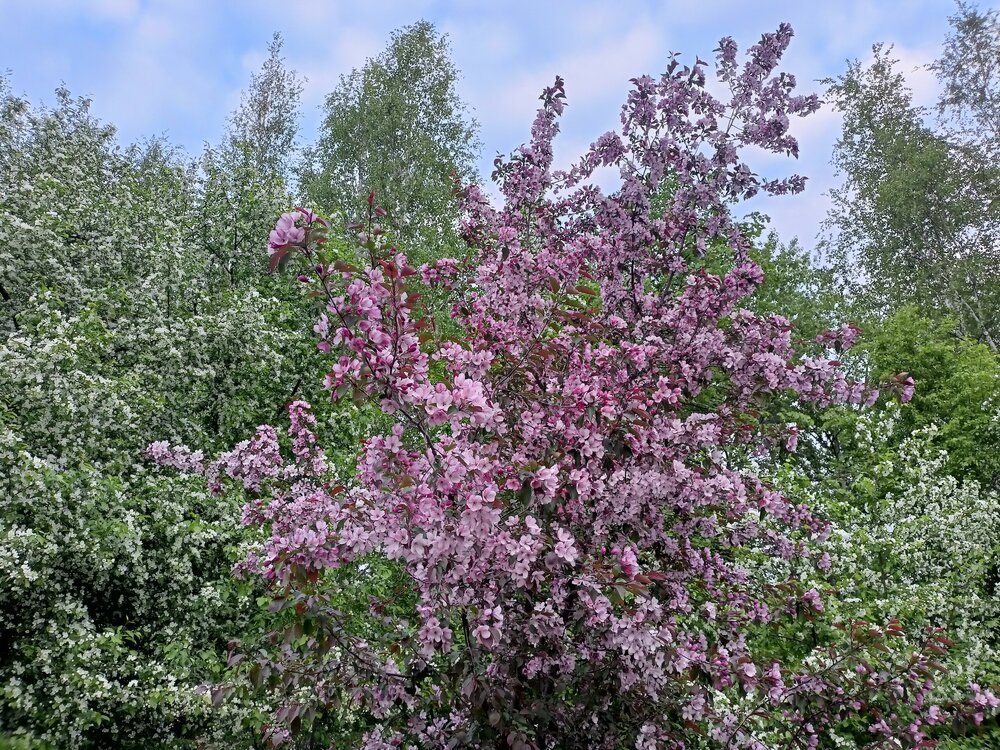 IMG20250517200056.jpg