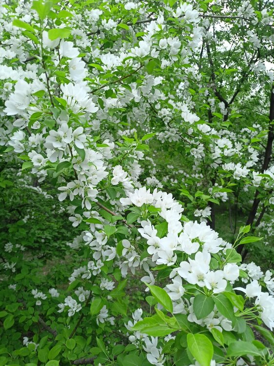 IMG20250517200407.jpg