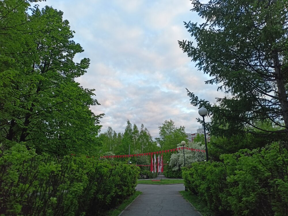 IMG20250517202014.jpg