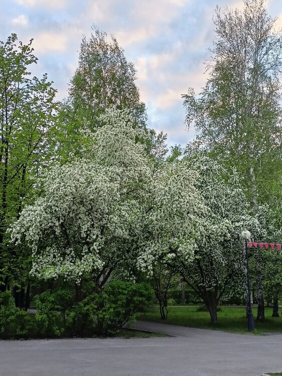 IMG20250517202112.jpg