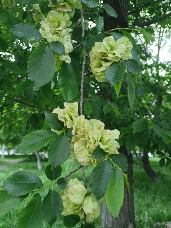 IMG20250526201247.jpg