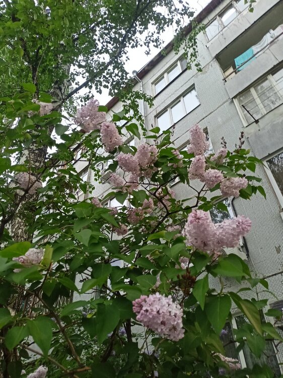 IMG20250526201359.jpg