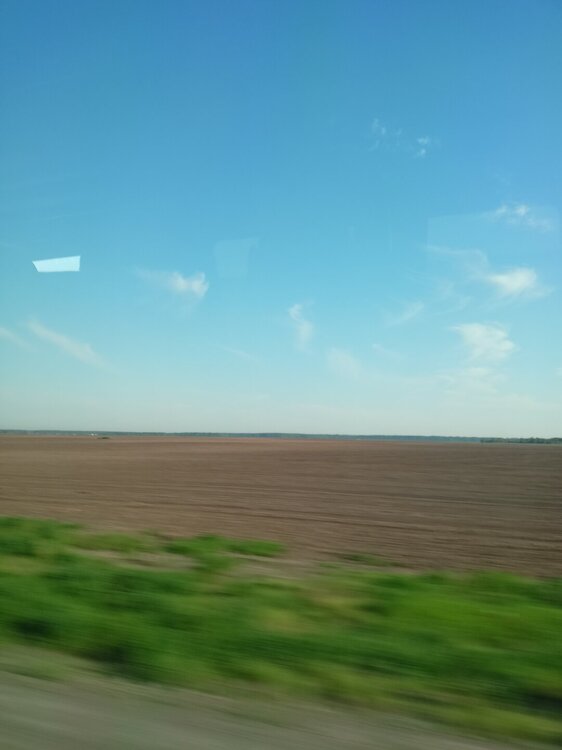 IMG20250531065428.jpg