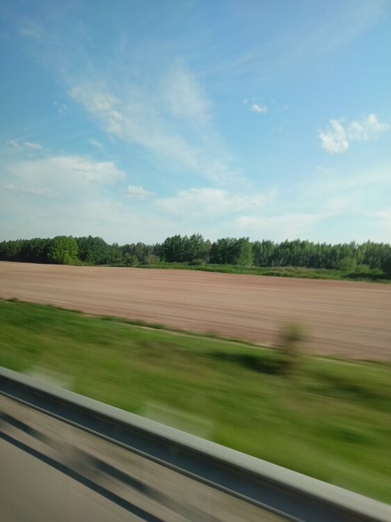 IMG20250531074147.jpg