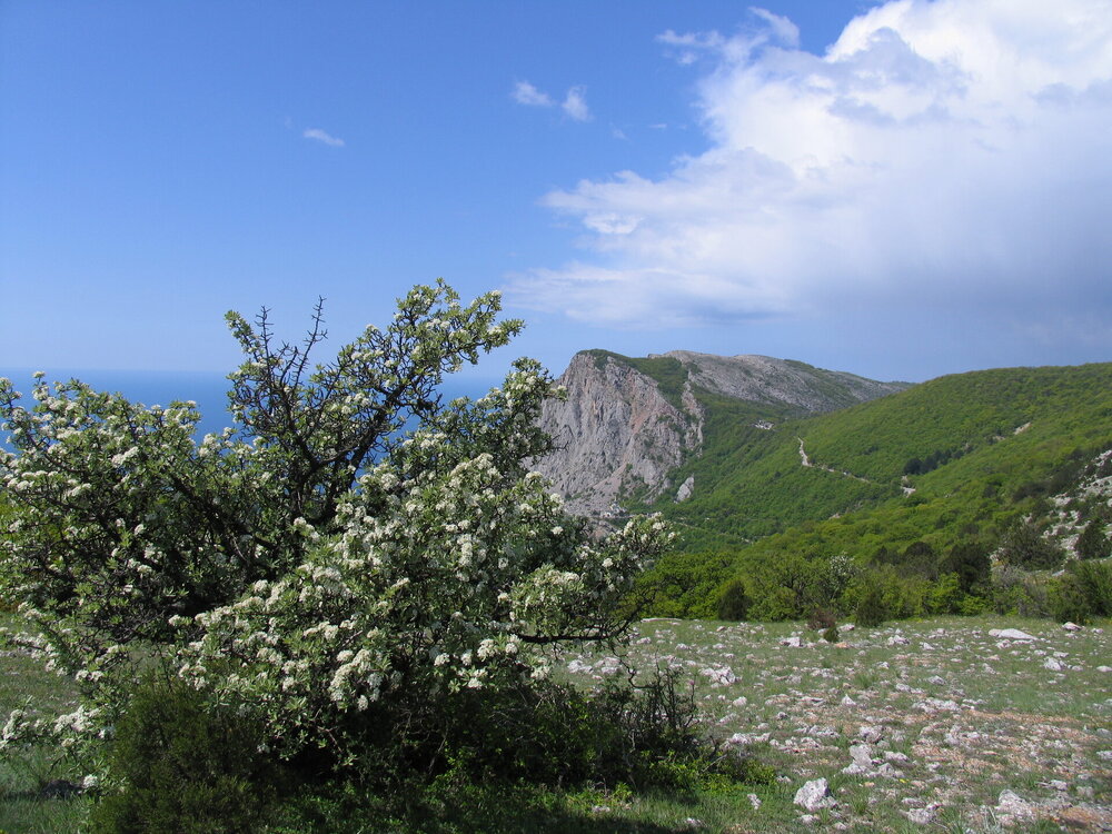 IMG_0061.JPG