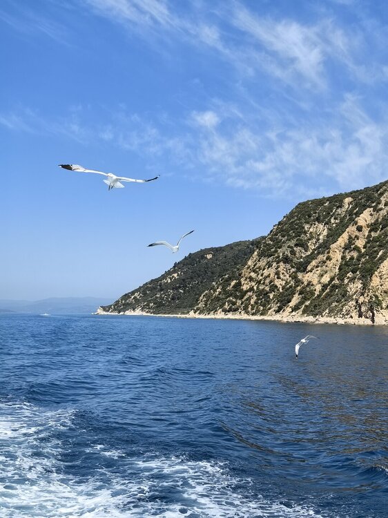 IMG_20250418_105939.jpg