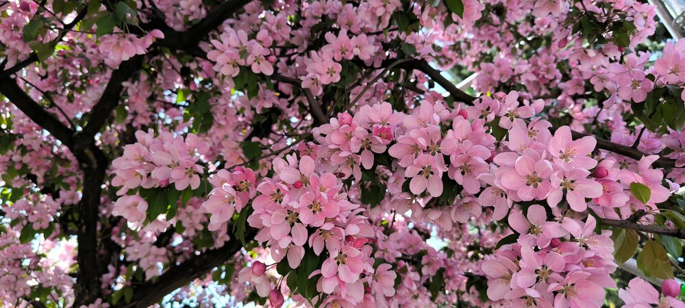 IMG_20250421_121929.jpg