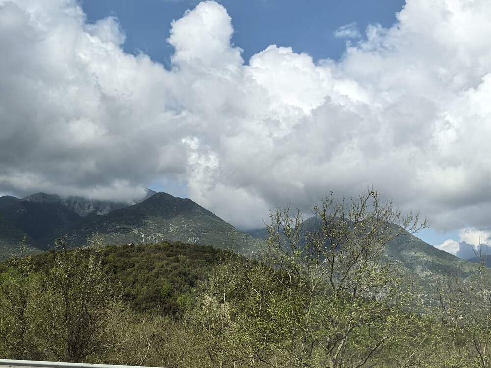 IMG_20250425_105434.jpg