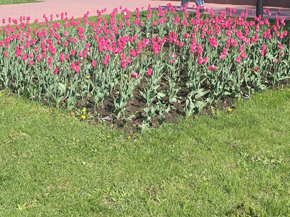 IMG_20250511_135945.jpg
