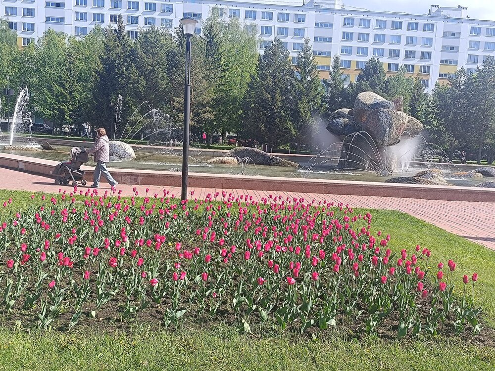 IMG_20250511_140011.jpg