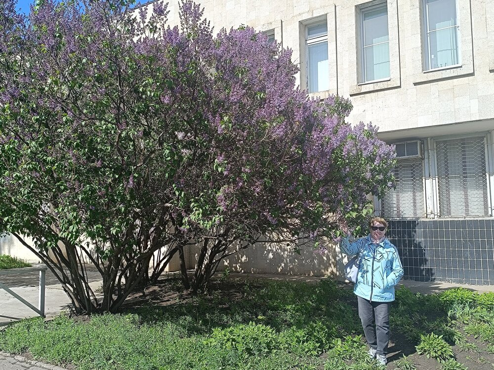 IMG_20250511_142525.jpg