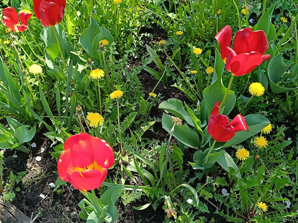 IMG_20250517_102622.jpg