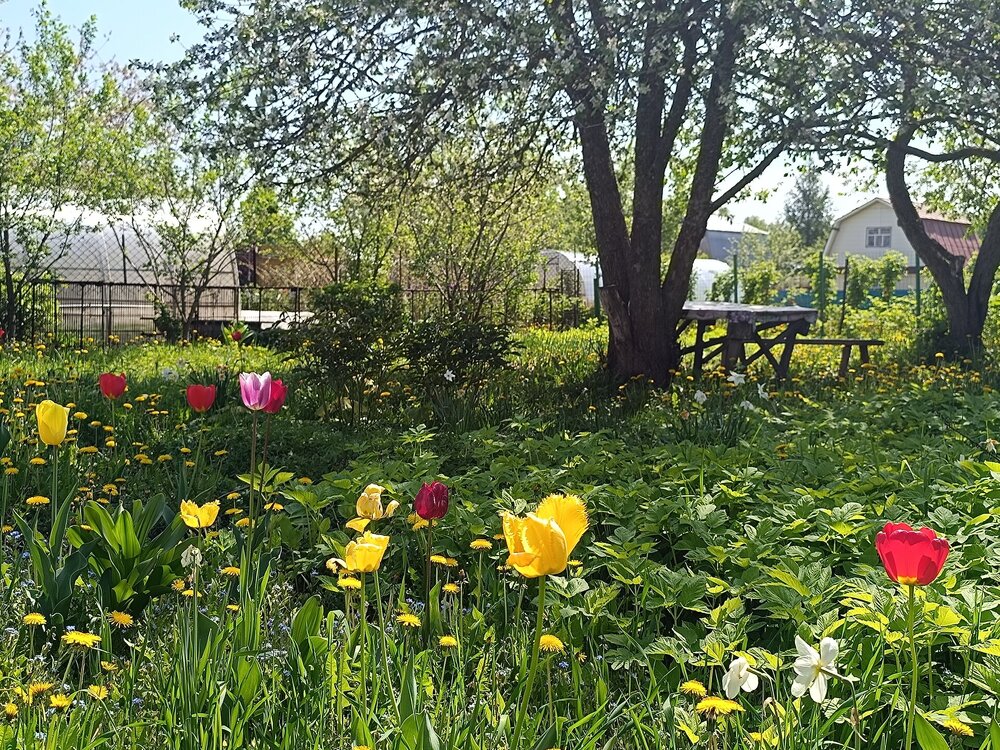 IMG_20250517_102710.jpg