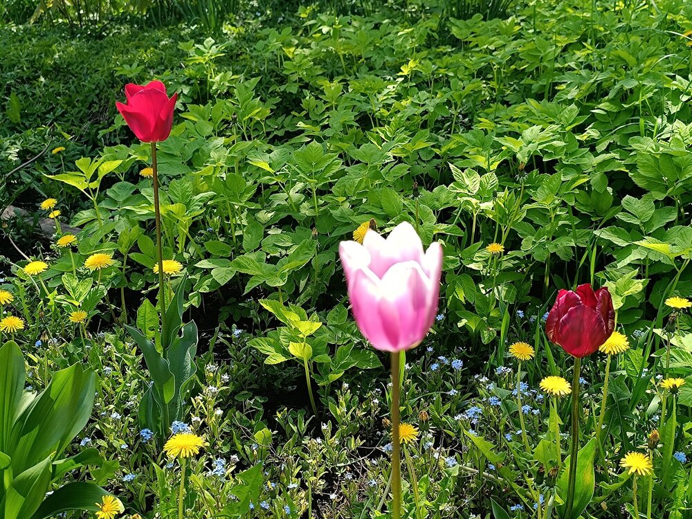 IMG_20250517_102718.jpg