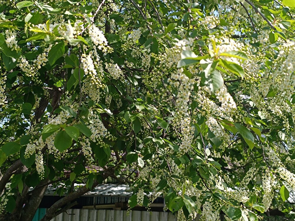 IMG_20250517_103418.jpg