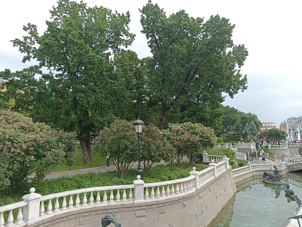 IMG_20250530_180024.jpg