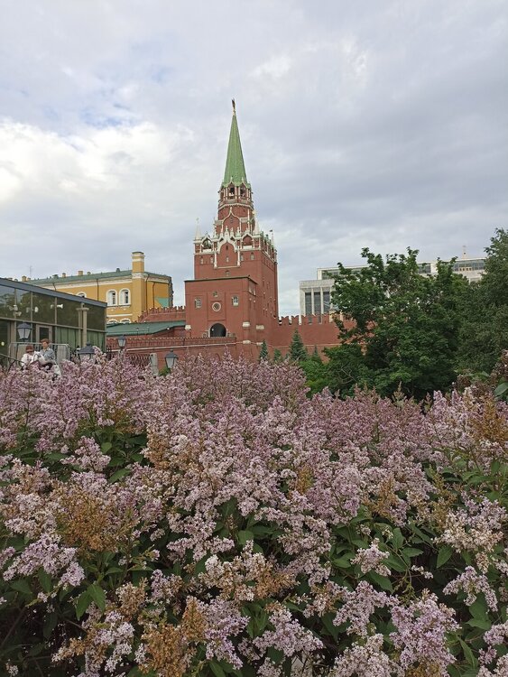 IMG_20250530_180807.jpg