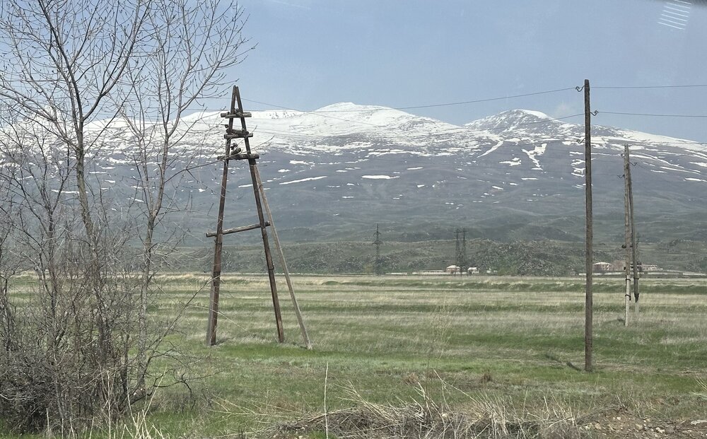 IMG_3306.jpeg