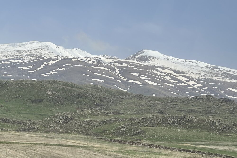 IMG_3313.jpeg