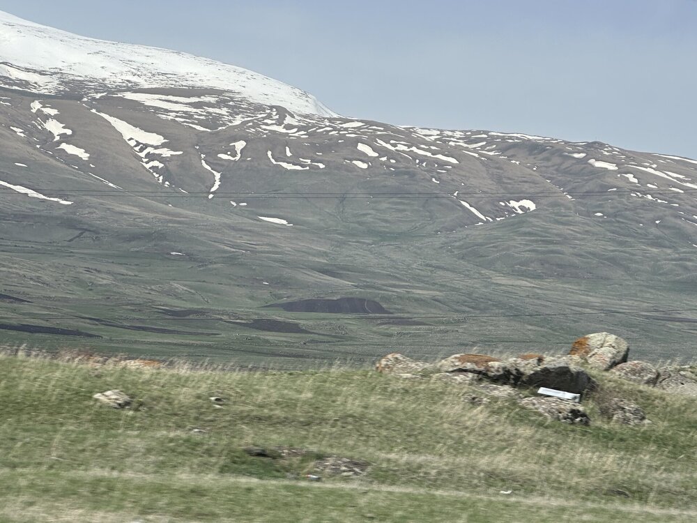 IMG_3316.jpeg