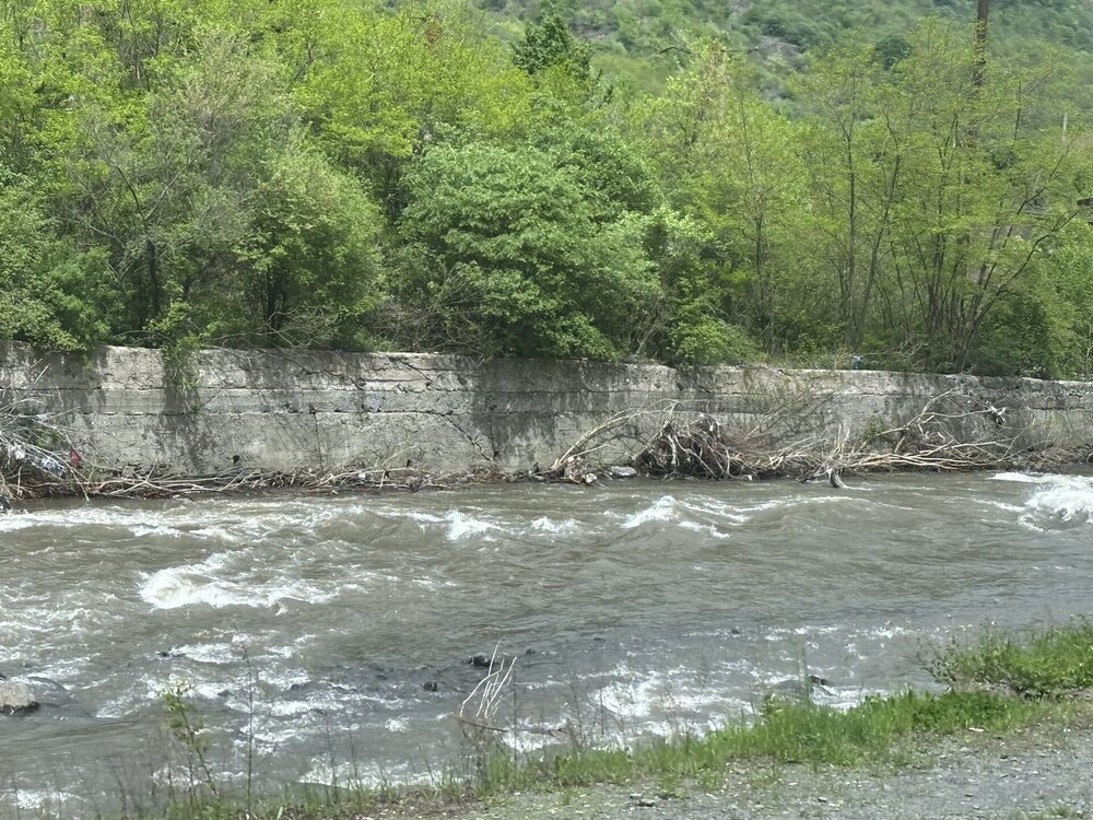 IMG_3384.jpeg