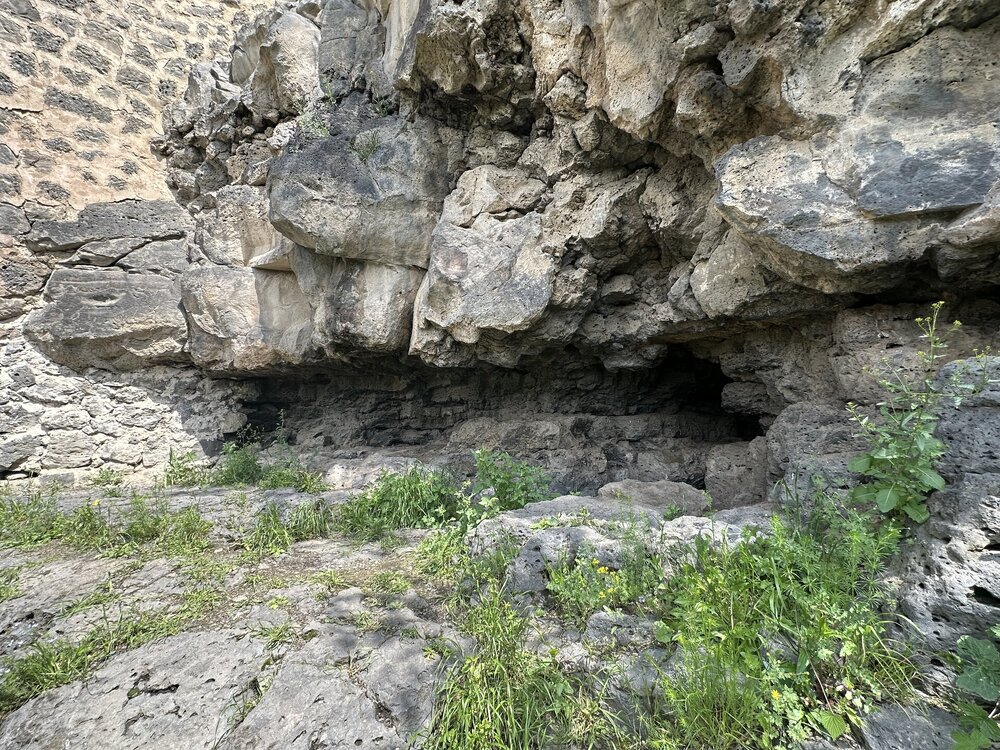 IMG_3483.jpeg