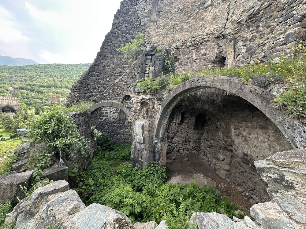 IMG_3536.jpeg