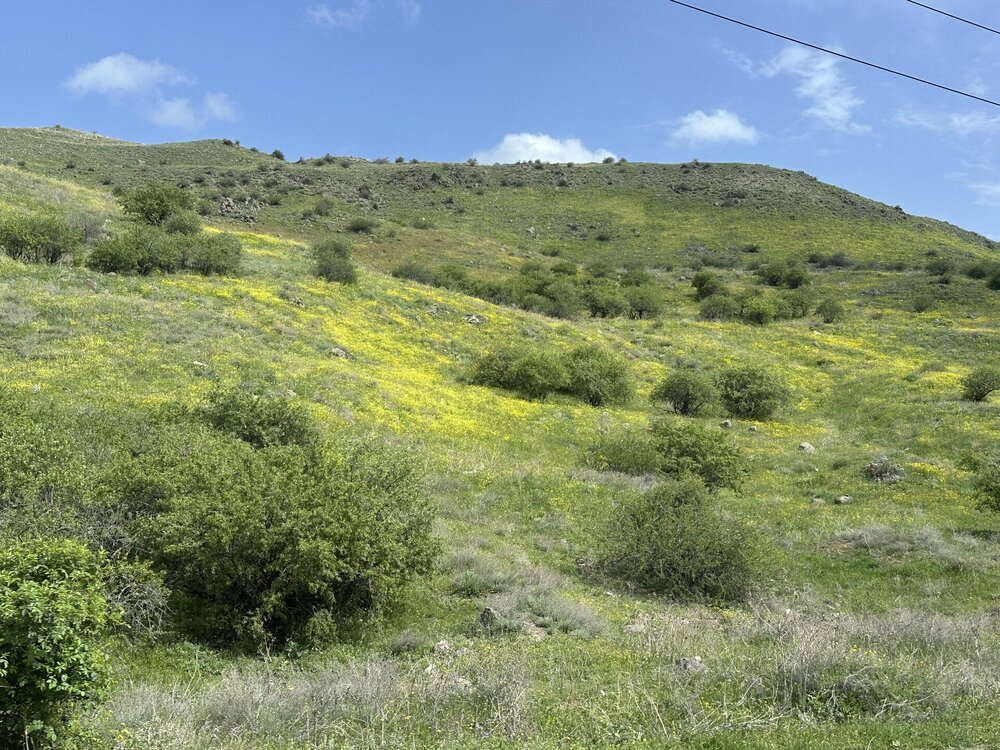 IMG_3900.jpeg