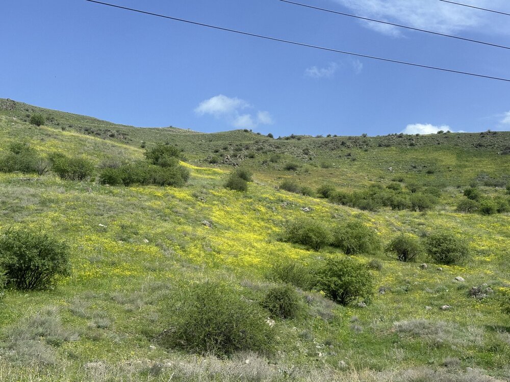 IMG_3901.jpeg