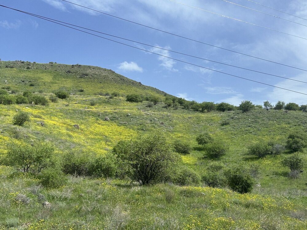 IMG_3902.jpeg