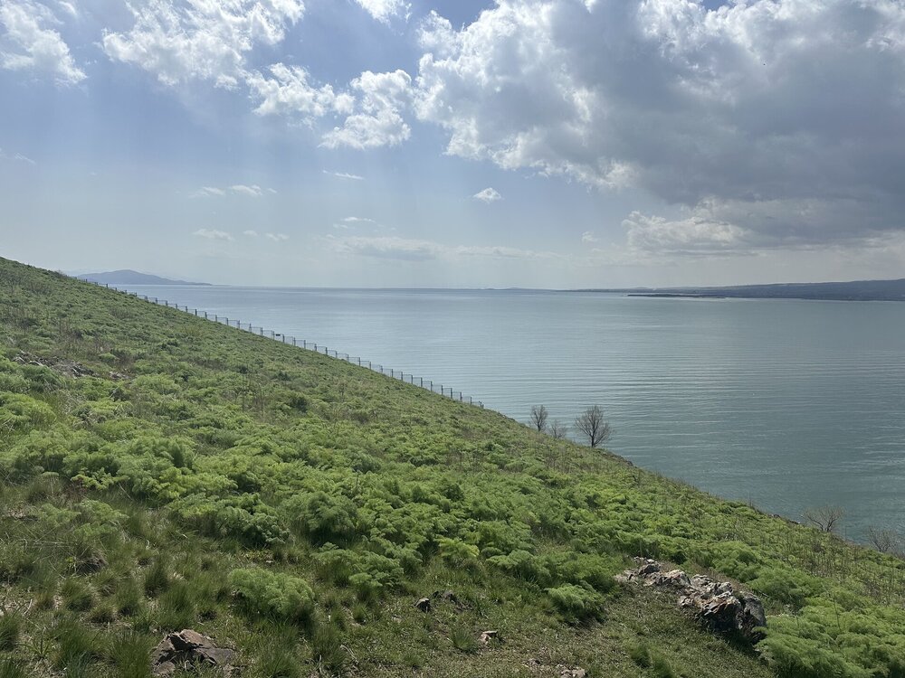 IMG_4360.jpeg