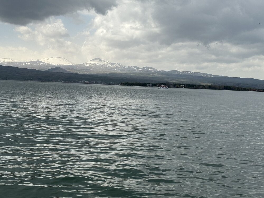 IMG_4401.jpeg