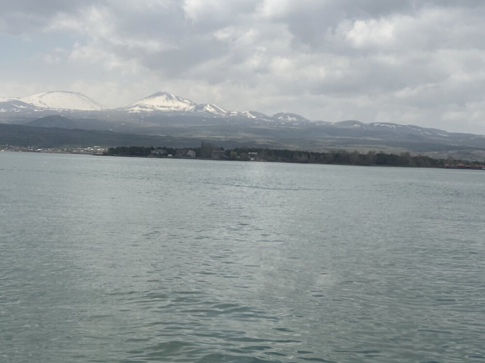IMG_4425.jpeg