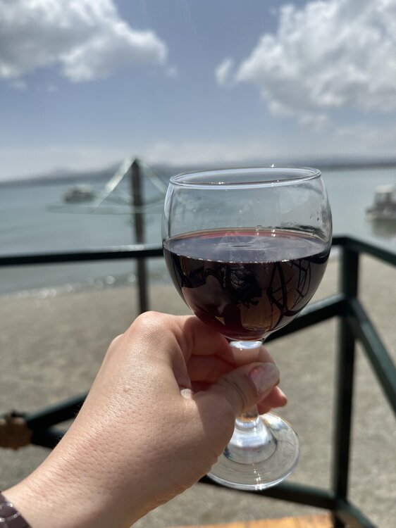 IMG_4432.jpeg