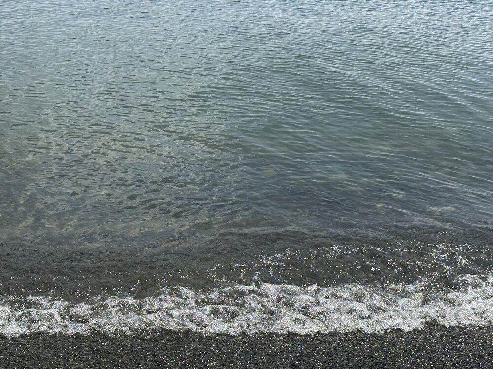 IMG_4449.jpeg