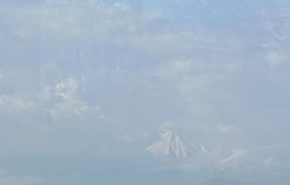 IMG_4470.jpeg