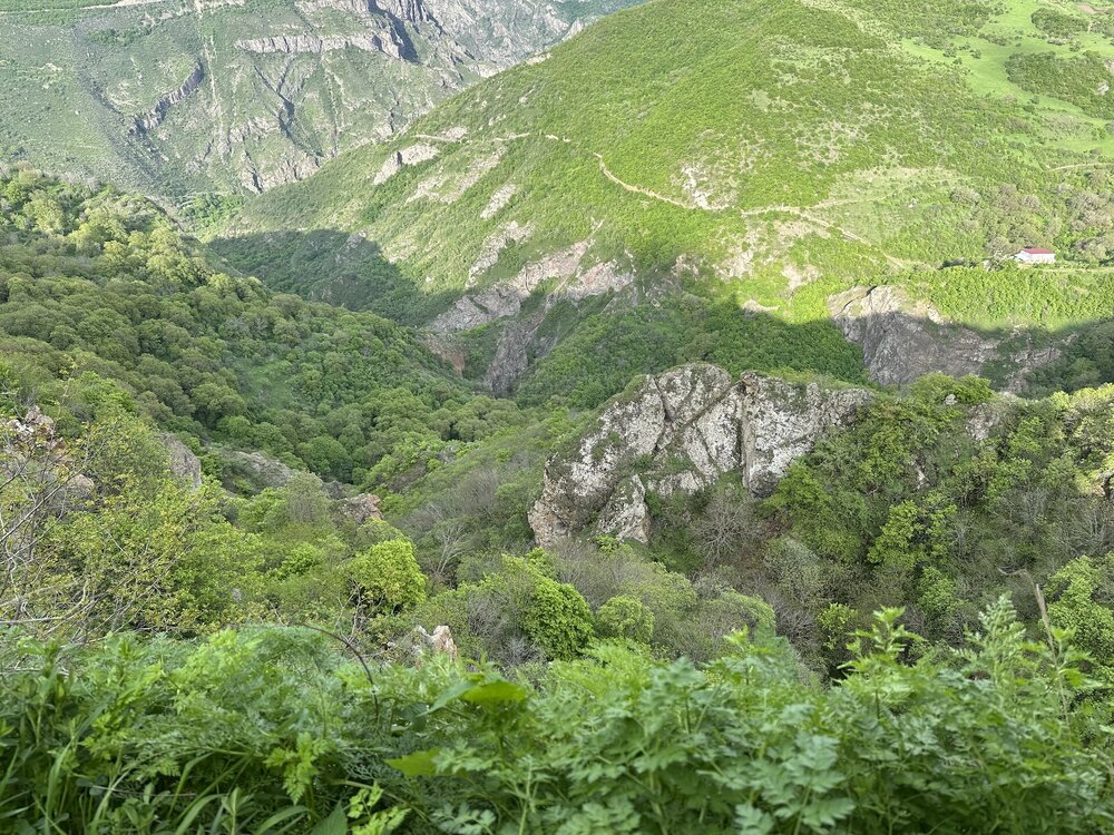 IMG_4776.jpeg